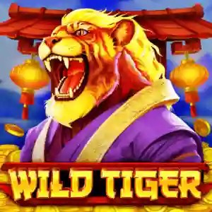 Enjoy Wild Tiger by BGAMING – logo hosted on monro-pt.pt